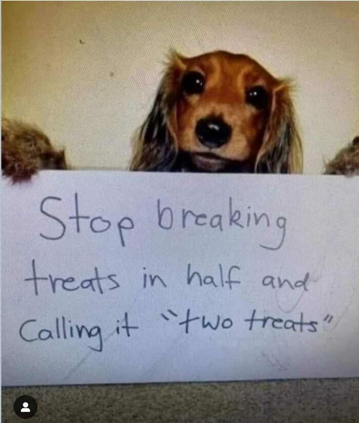 Wholesome-Content-Posts