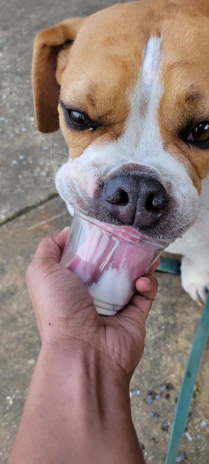 Wholesome-Content-Posts