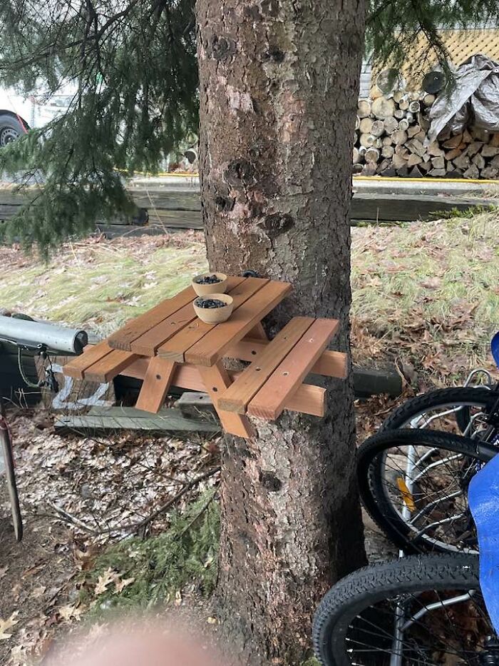 Wholesome-Content-Posts