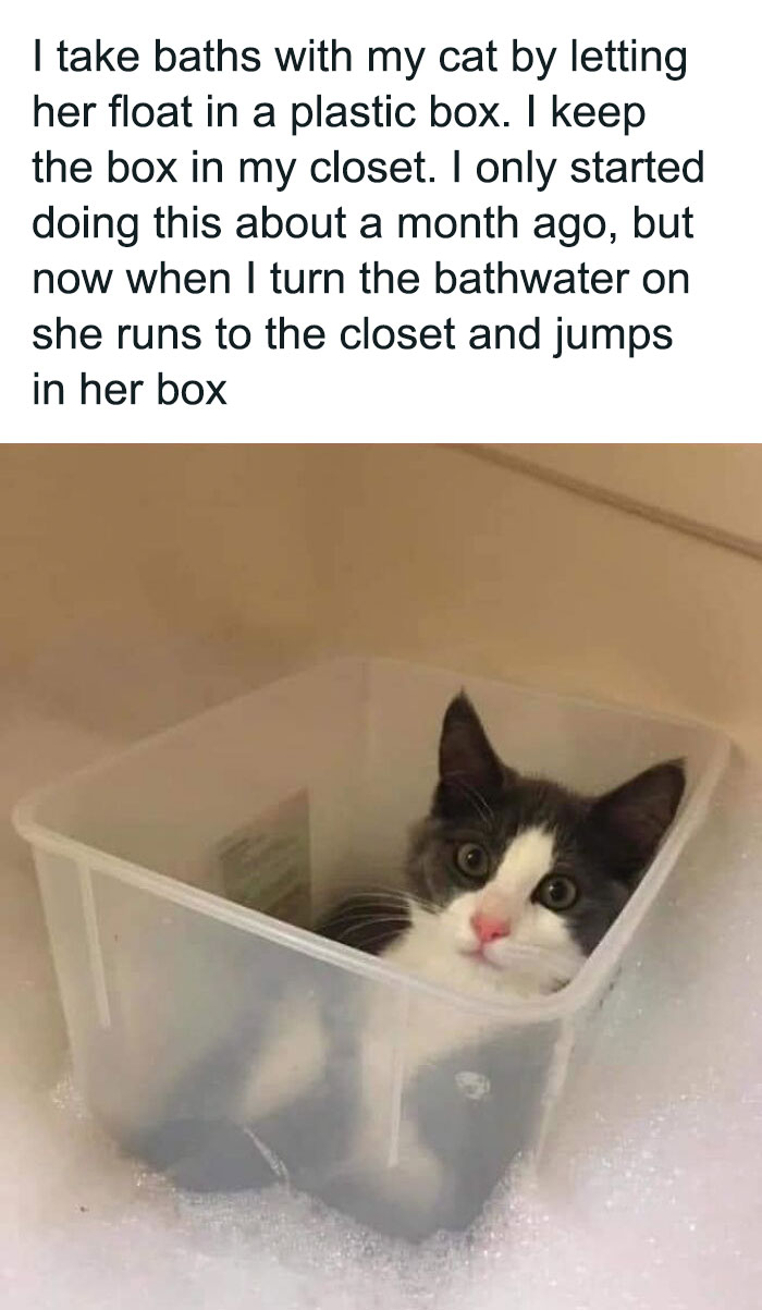 Wholesome-Content-Posts