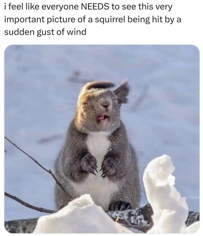 Wholesome-Content-Posts