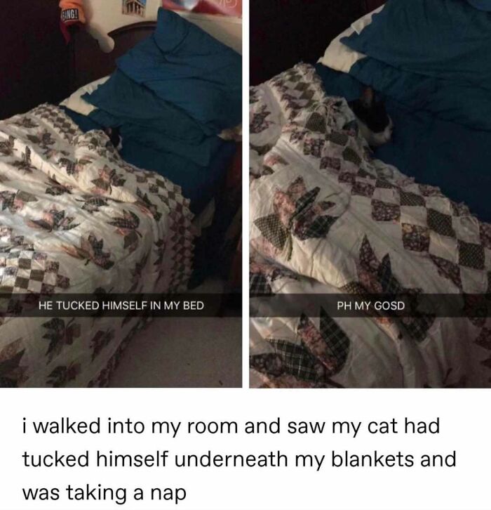 Wholesome-Content-Posts