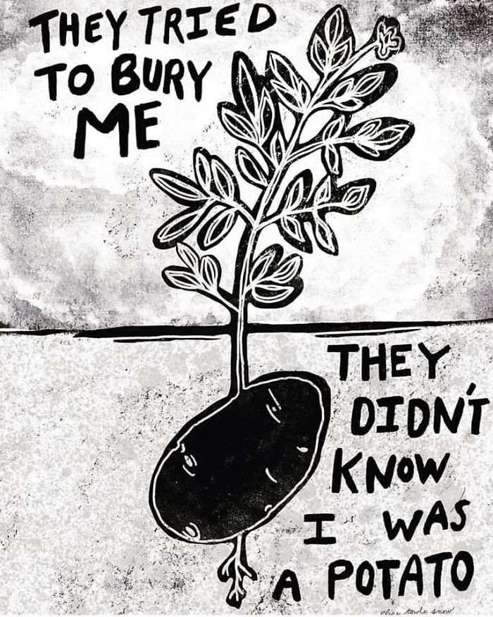 Wholesome-Content-Posts