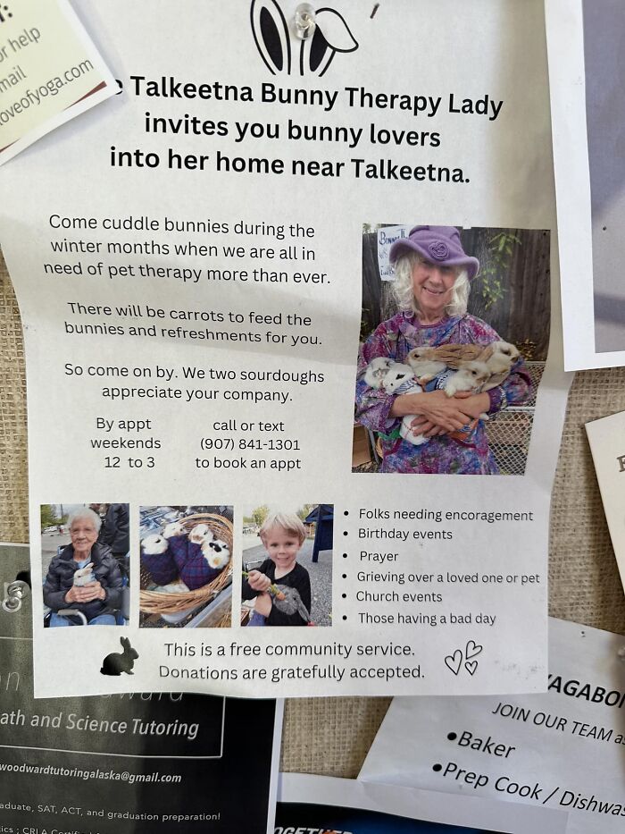 Wholesome-Content-Posts