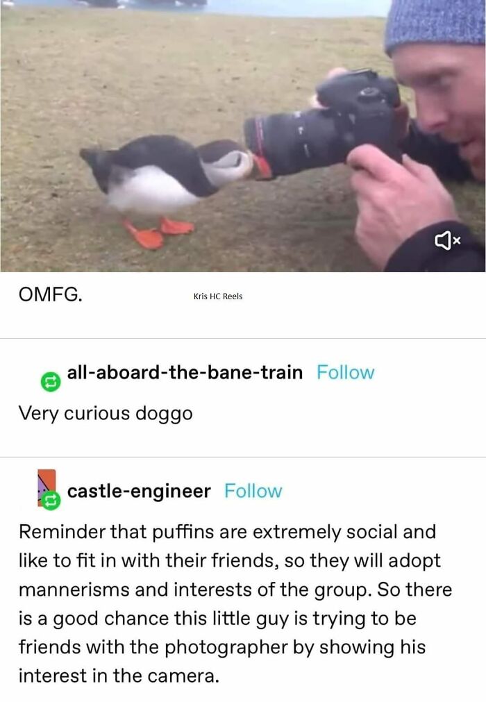 Wholesome-Content-Posts