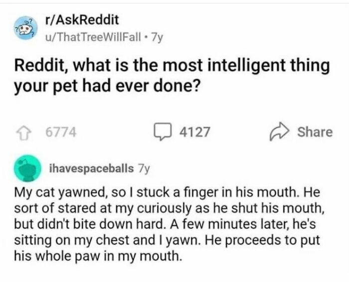 Wholesome-Content-Posts