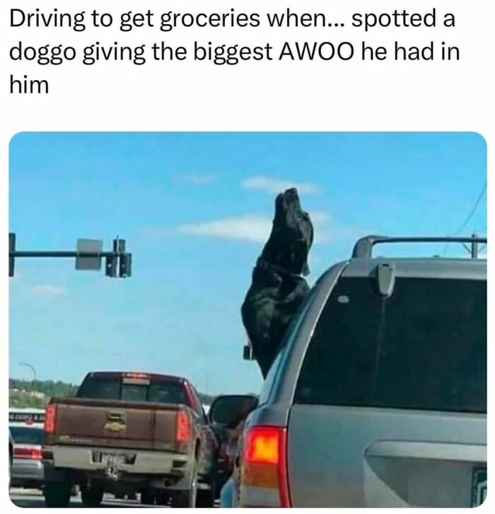 Wholesome-Content-Posts