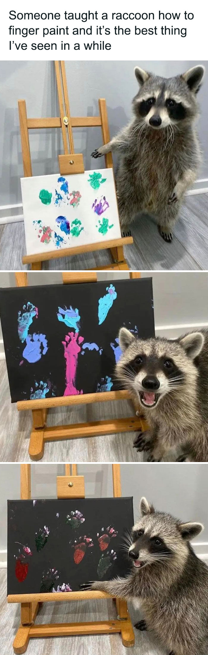 Wholesome-Content-Posts