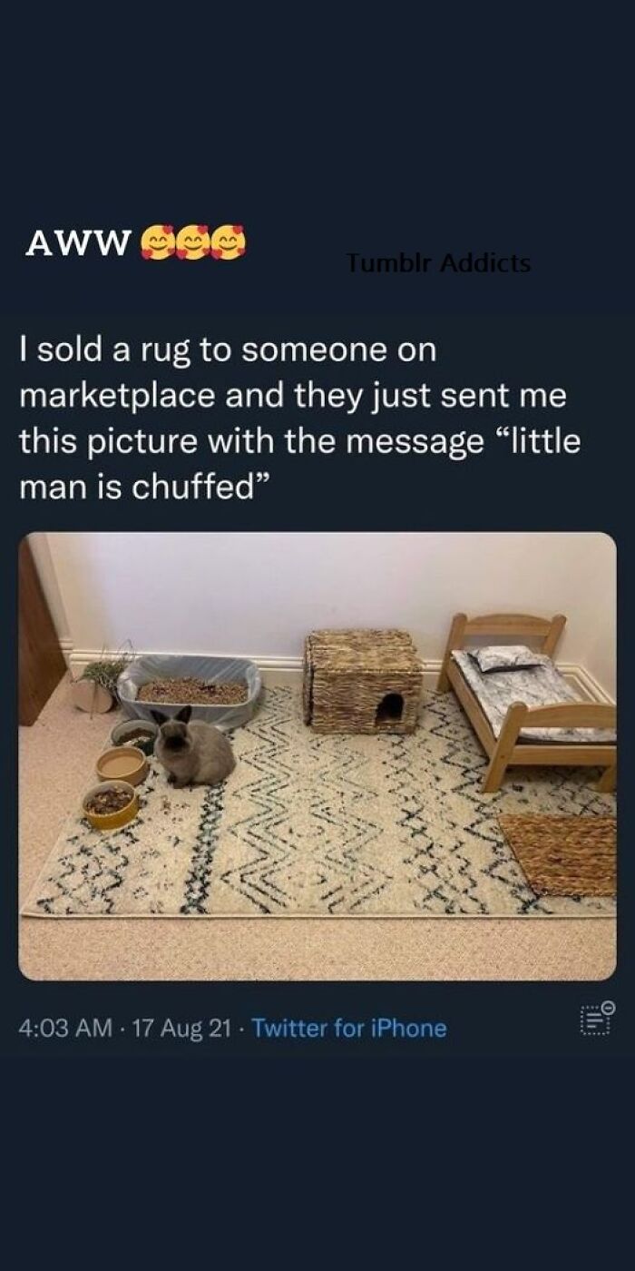 Wholesome-Content-Posts