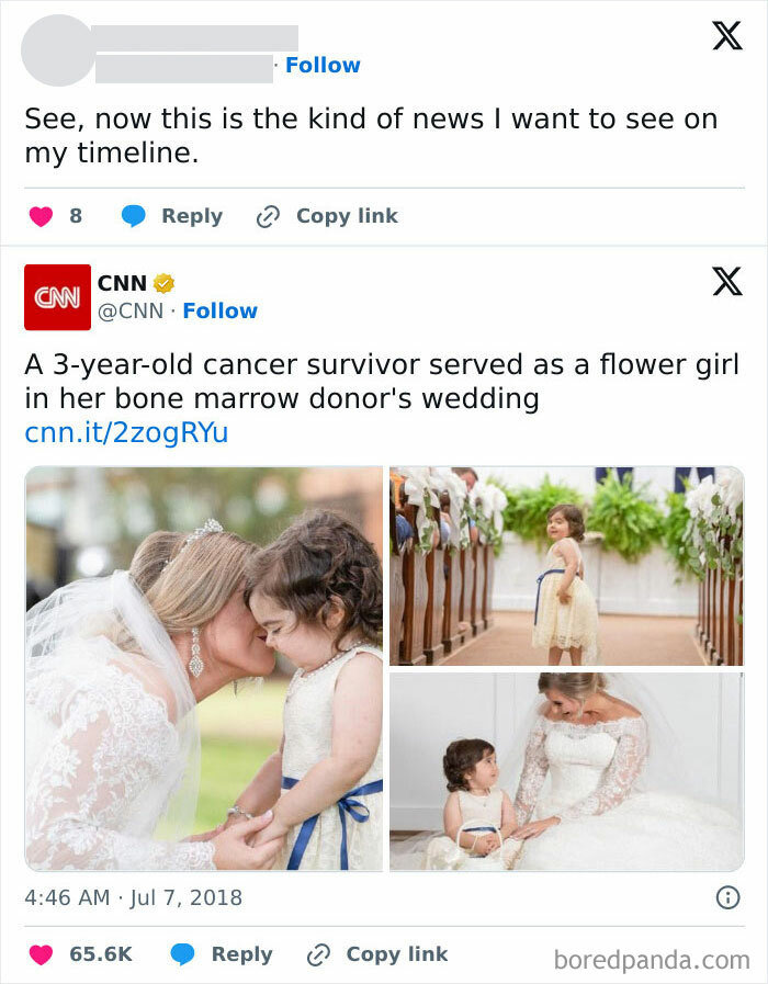 Wholesome-Meets-Internet