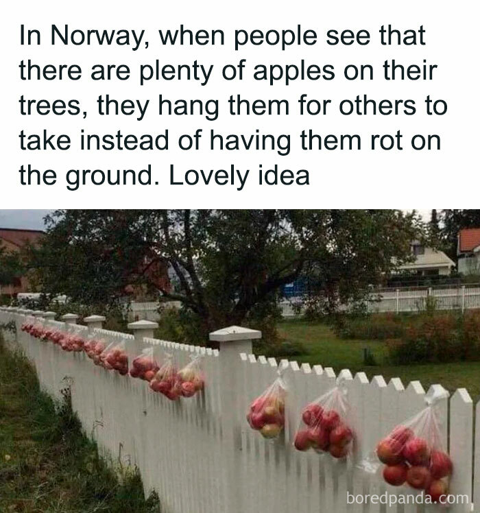 Wholesome-Meets-Internet