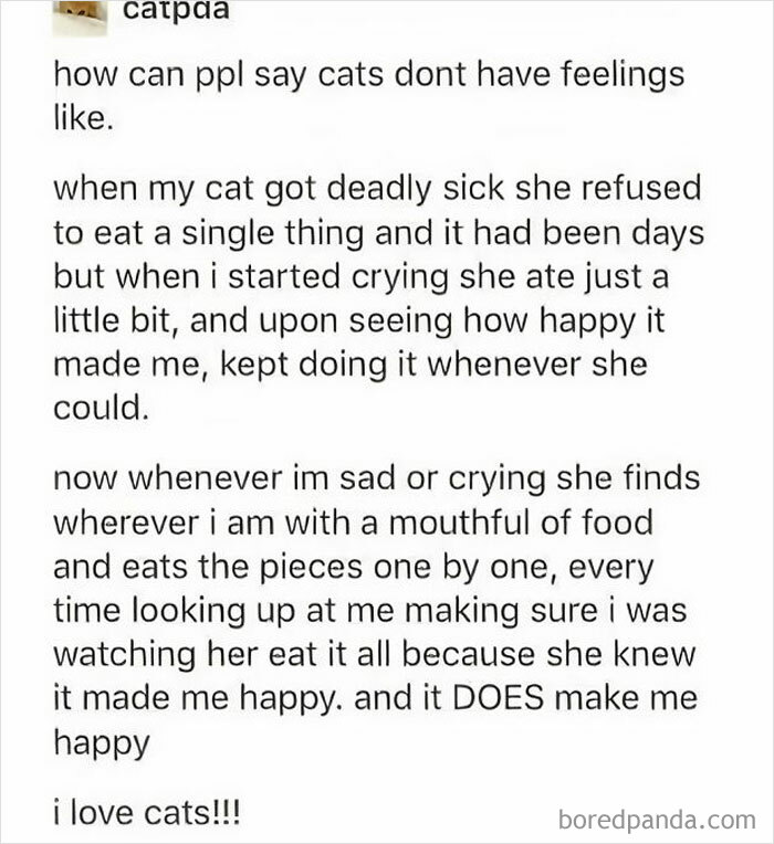 Wholesome-Meets-Internet