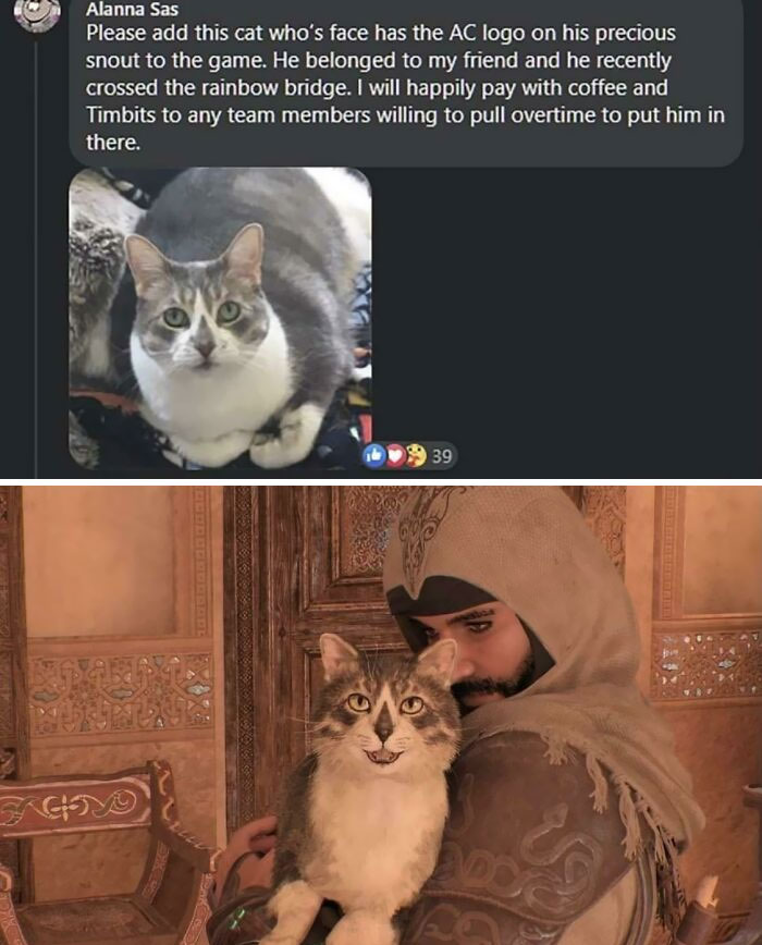 I Can’t Even Imagine How Happy Their Owner Is After Seeing This