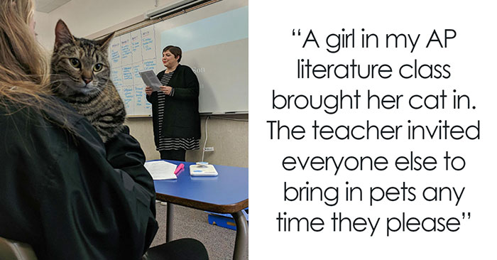 50 Times Teachers And Professors Acted So Wholesomely, Their Students Just Had To Share The Pics (New Pics)