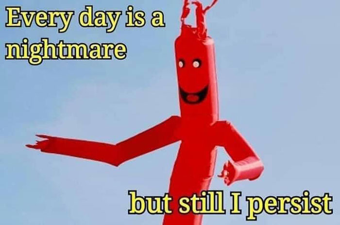 Why-Is-My-Brain-Like-This-Memes