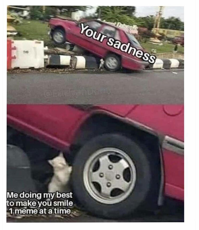 Why-Is-My-Brain-Like-This-Memes