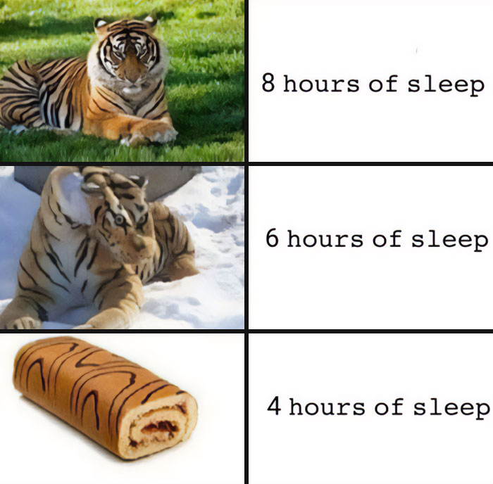 Why-Is-My-Brain-Like-This-Memes