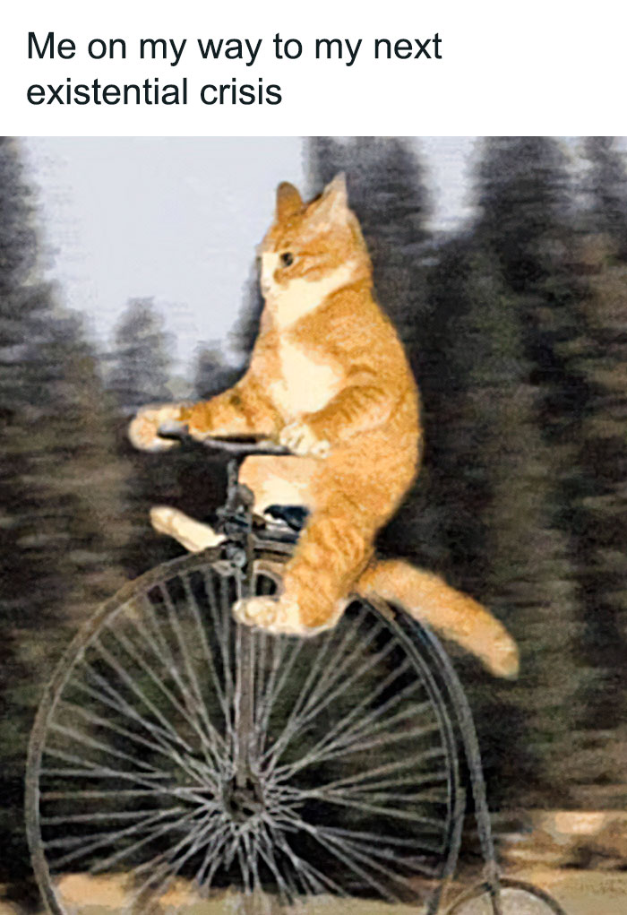 Why-Is-My-Brain-Like-This-Memes