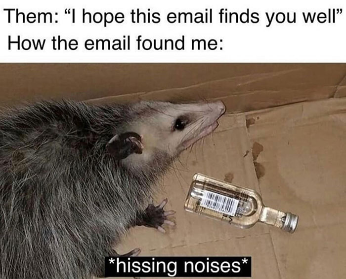 Why-Is-My-Brain-Like-This-Memes