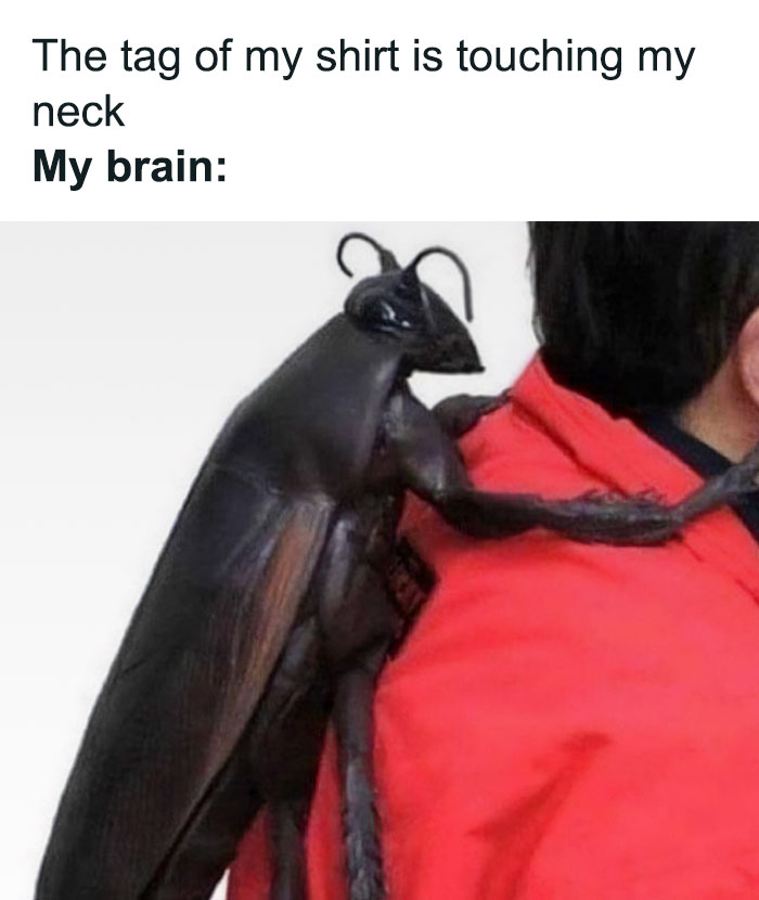 Why-Is-My-Brain-Like-This-Memes