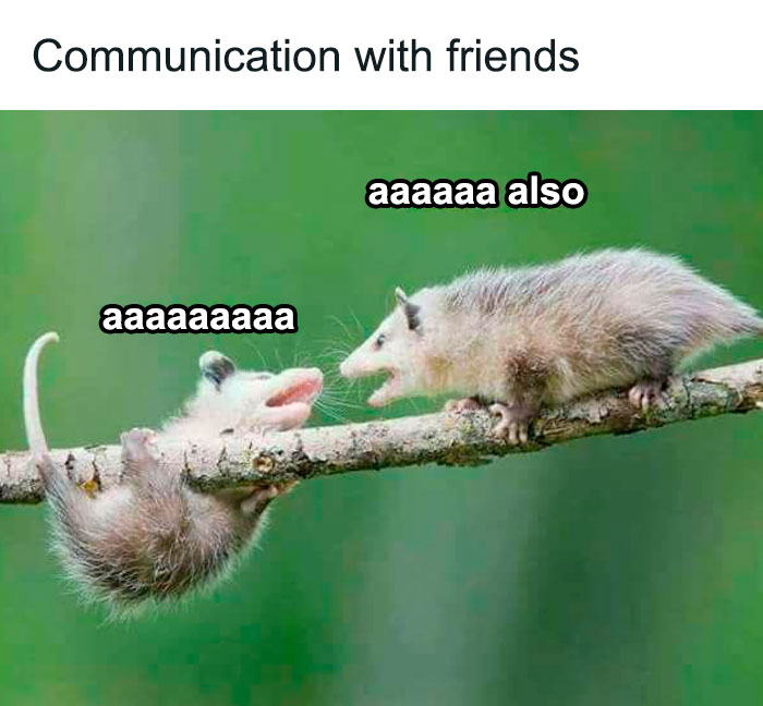 Why-Is-My-Brain-Like-This-Memes