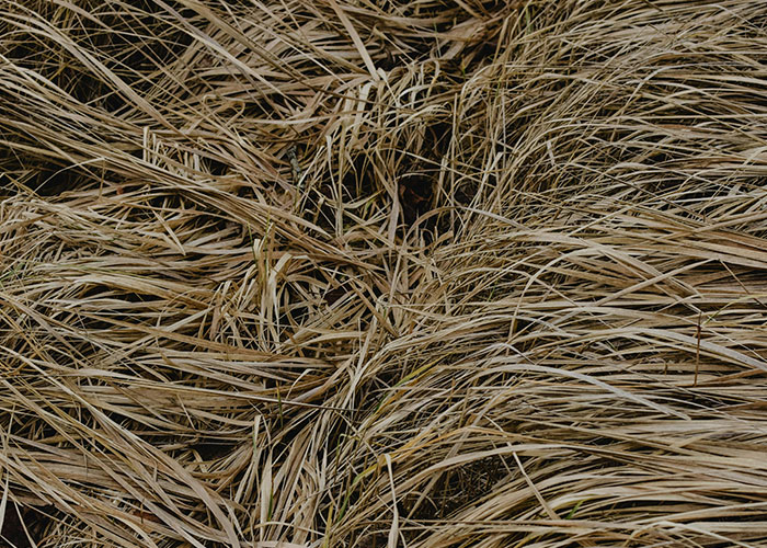 34 Times People Were Served Ridiculous Food At Weddings - 33