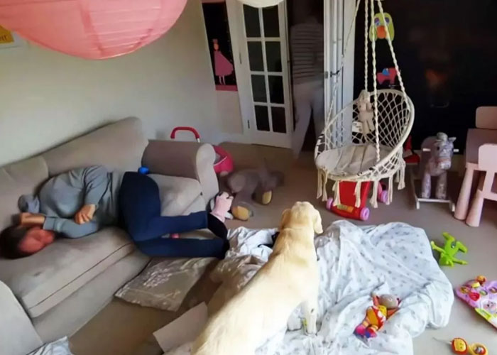 &ldquo;My Wife, My Abuser&rdquo; Documentary Shows Decades Of Abuse In Devastating Footage