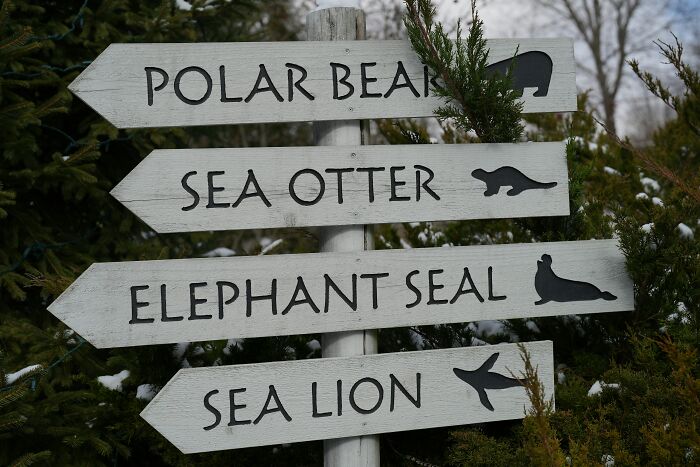 Someone Asks Zookeepers "What Are Zoo Secrets That People Wouldn’t Believe?", Gets 21 Replies