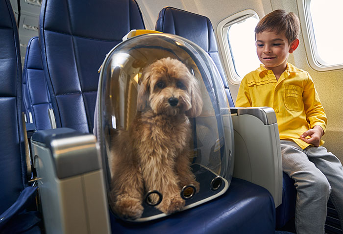 &ldquo;Total BS&rdquo;: Passengers Tired Of &ldquo;Fake Service Dogs&rdquo; Causing Trouble On Flights