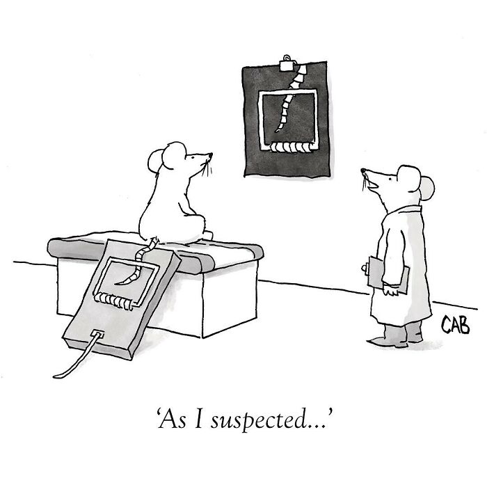 Dive Into The Whimsical World Of Mat Barton's Comics