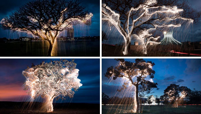 Luciérnagas fotografiadas con larga exposición, Victor Schietti