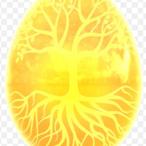 hellowrold1245 avatar