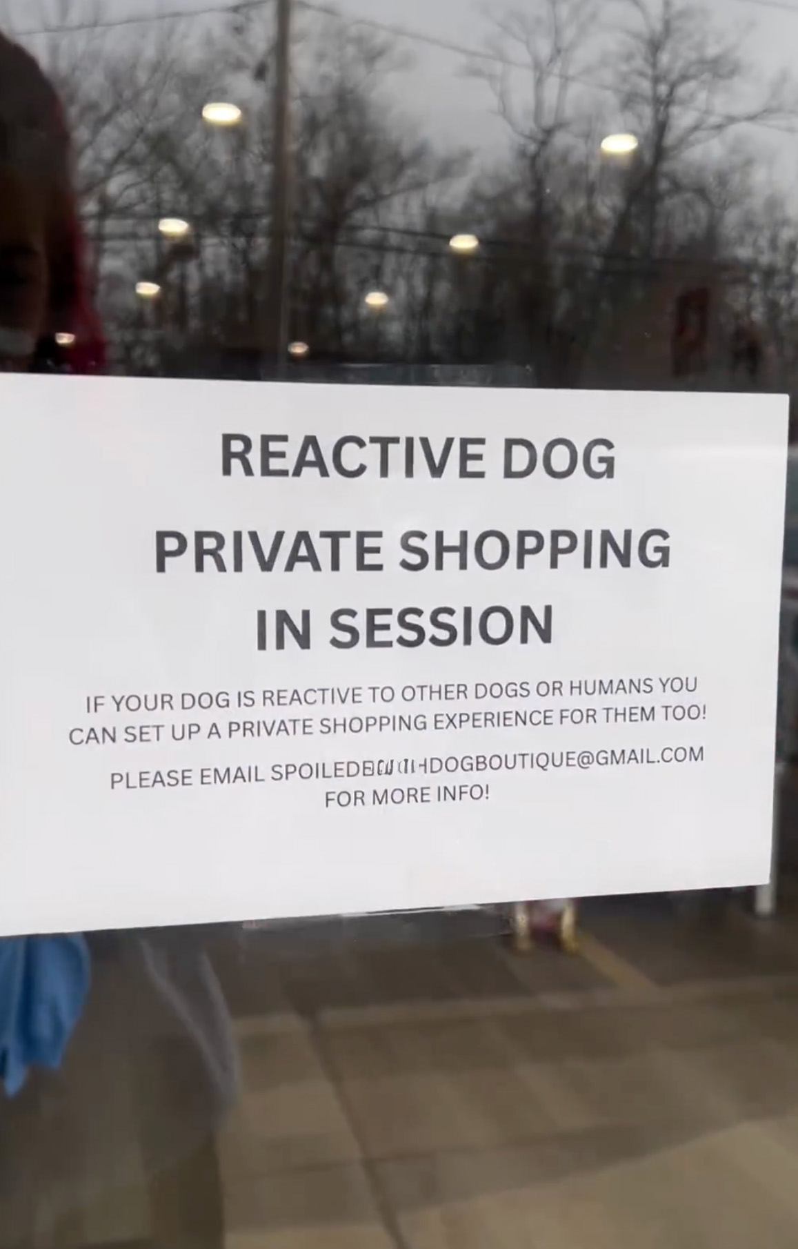 Misunderstood Doggies Can Finally Shop In Peace At This Pet Store Misunderstood Doggies Can Finally Shop In Peace At This Pet Store