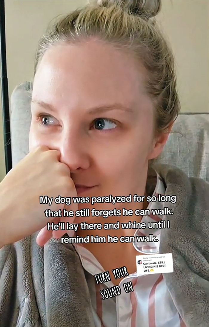 Heartwarming Video Of Once-Paralyzed Dog Realizing He Can Walk Again Goes Viral