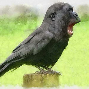 jonathankerby avatar