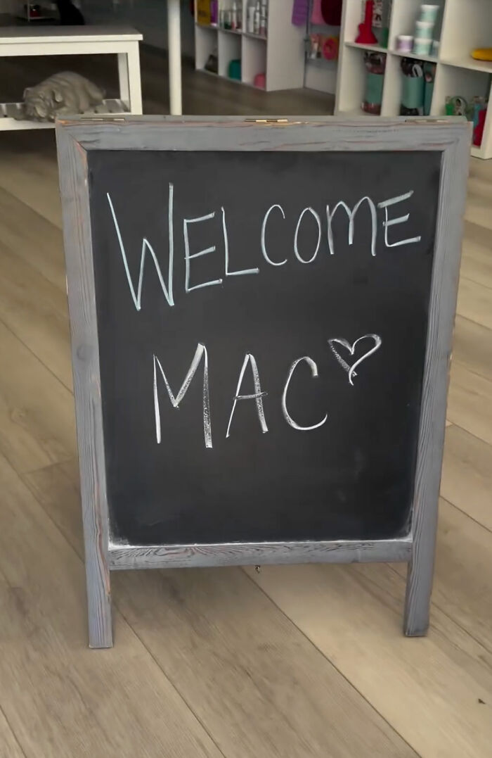 Misunderstood Doggies Can Finally Shop In Peace At This Pet Store Misunderstood Doggies Can Finally Shop In Peace At This Pet Store