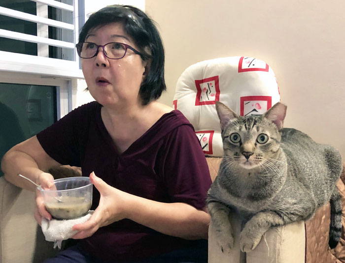 My Cat Is Watching TV With My Mom