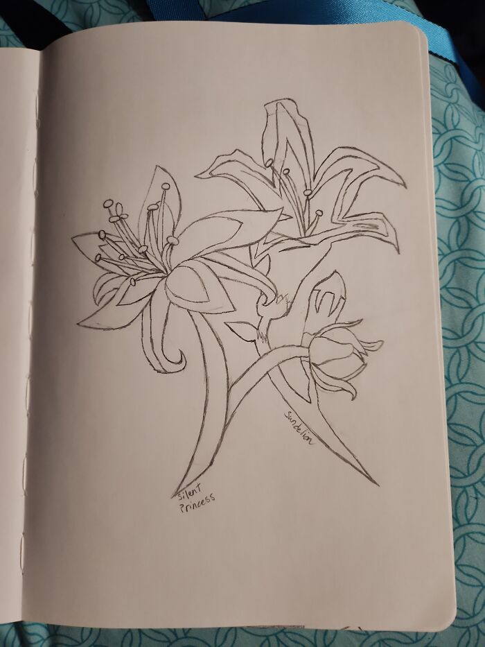 Does This Count As Fanart? It's A Silent Princess And A Sundelion From Totk