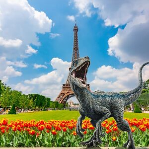 stephaniechesnalavage avatar