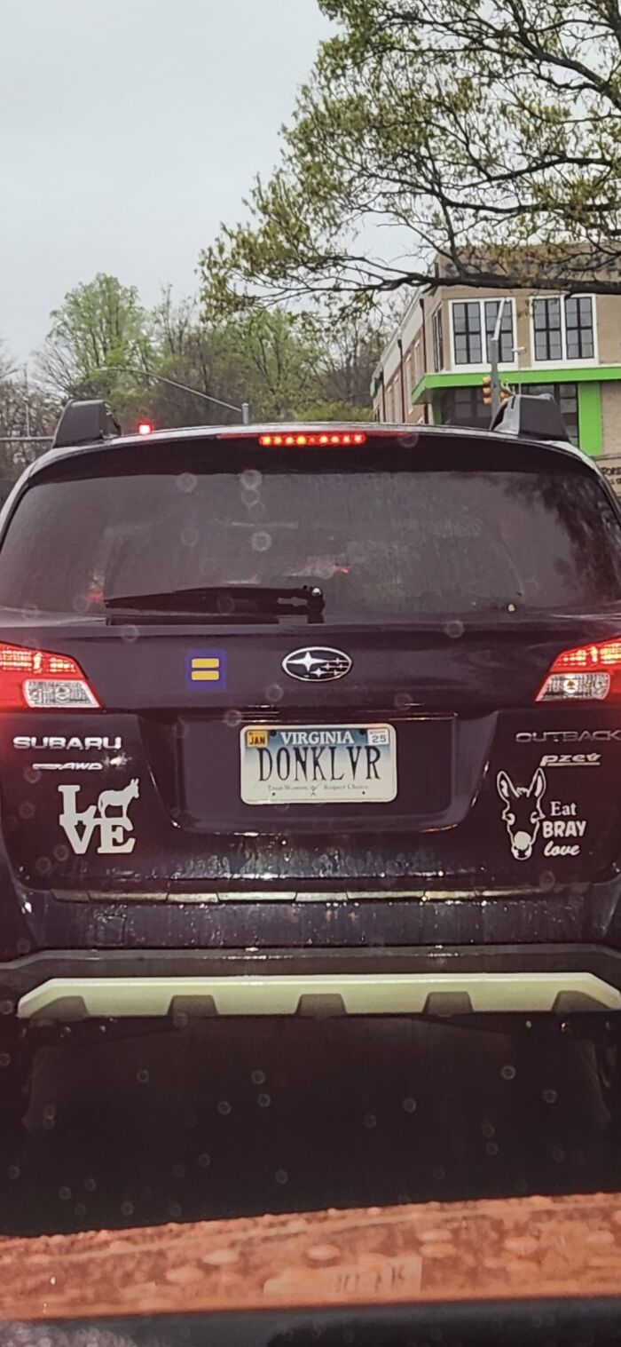 No One: The Dragon From Shrek: