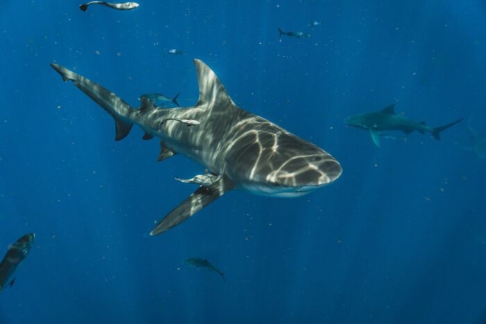 33 Facts That Might Teach Quite A Lot Of People Something New - 24