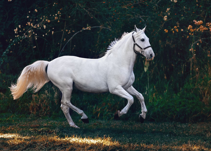 40 Women Share Something Completely Offensive A Man Told Them Thinking It Was A Compliment - 18