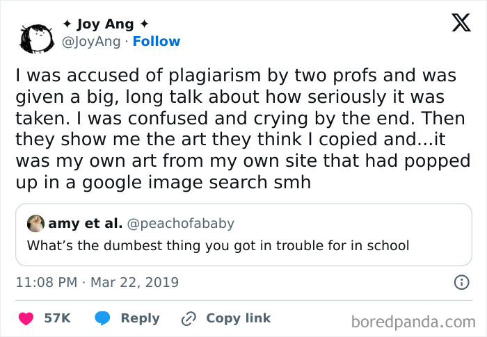 Tweet about being wrongly accused of plagiarism, showing clueless people surprising others with their stupidity online.