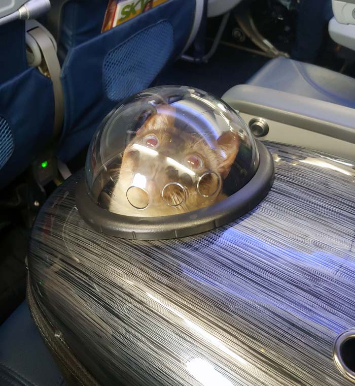 His First Time On A Plane