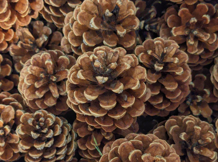 “If Lost, Please Mail To The FBI”: 30 Bizarre Things That Have Been Found In Hotel Rooms - 22