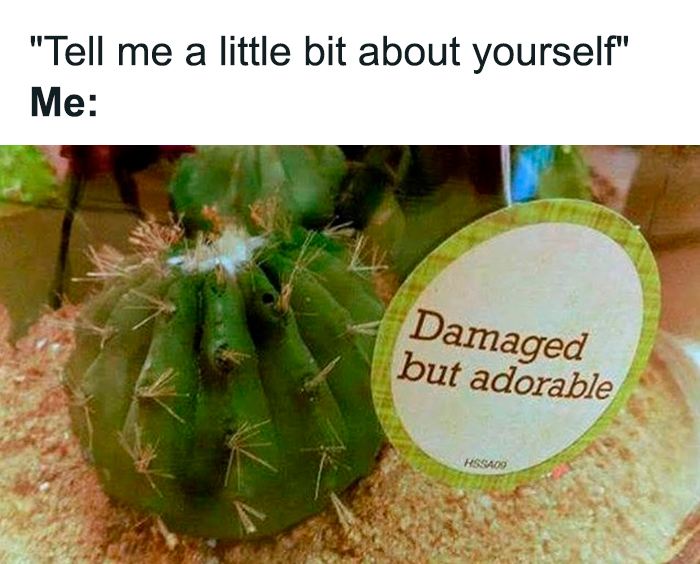 Cactus with a label saying "damaged but adorable" as a humor-filled mental health meme.