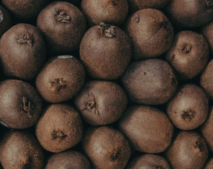 “I Just Found Out Last Year”: 30 Of The Dumbest Things People Were Convinced Were True - 3