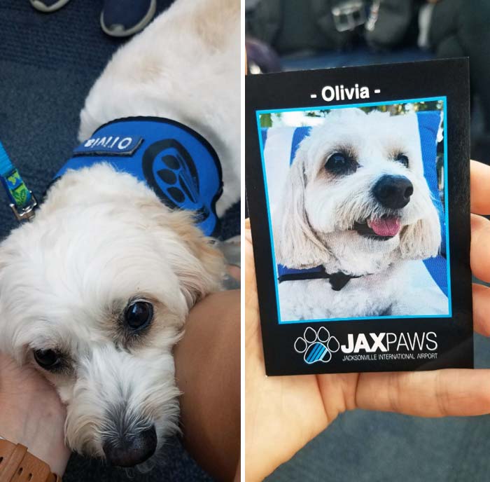 Olivia Helped Make My 6-Hour Plane Delay Worthwhile