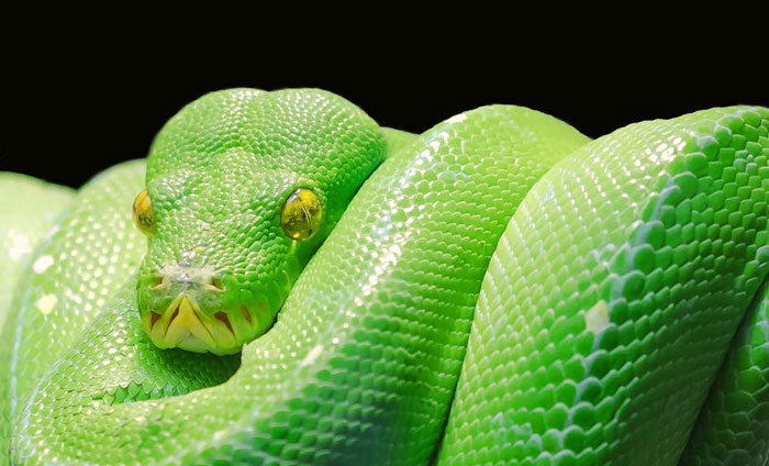 “If Lost, Please Mail To The FBI”: 30 Bizarre Things That Have Been Found In Hotel Rooms - 7