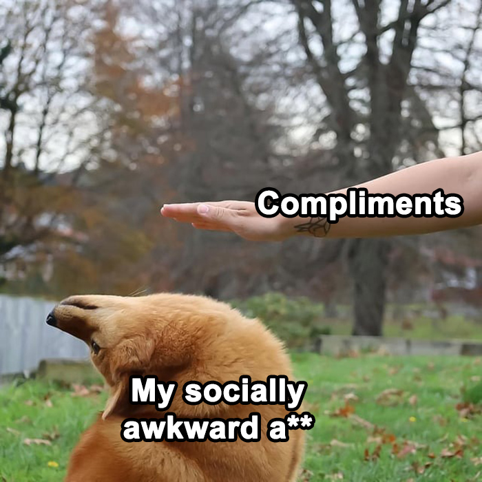 Dog dodging a hand labeled "Compliments," depicting a relatable mental health meme.